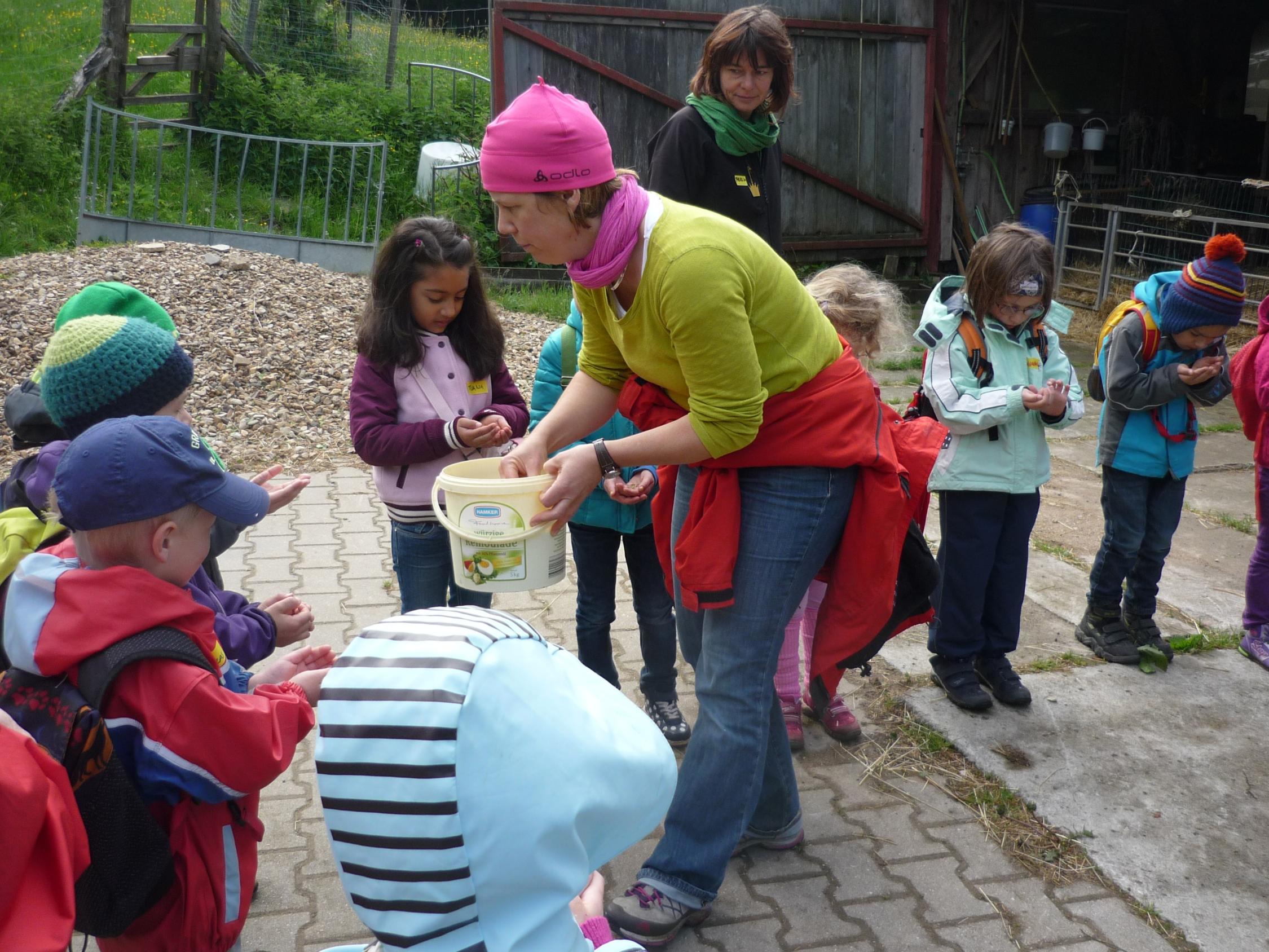 Besuch im Schafstall bei Familie Lips